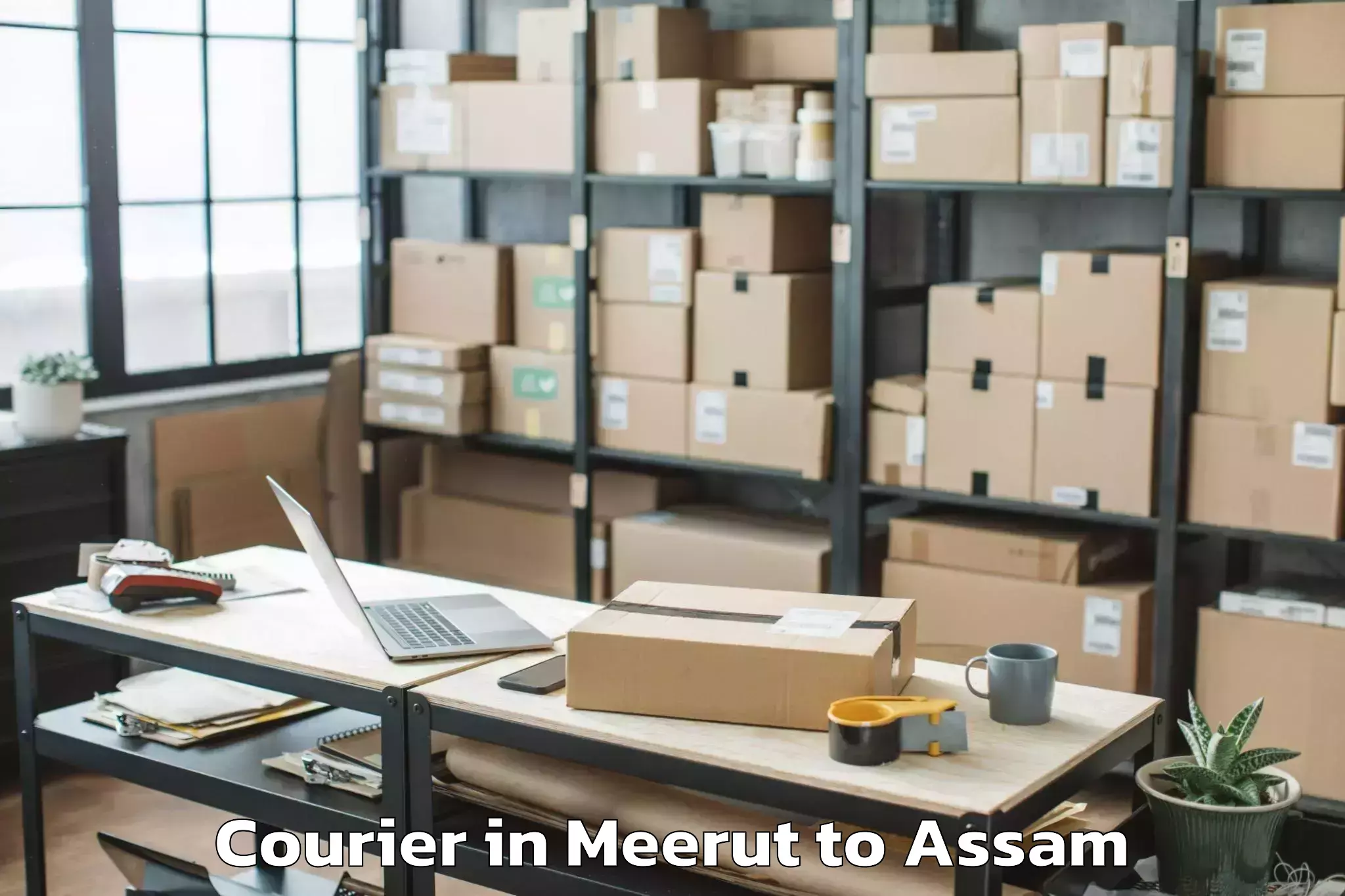 Trusted Meerut to North Guwahati Pt Courier